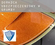 Doradca ubezpieczeniowy w  Grumby