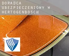 Doradca ubezpieczeniowy w  Hertogenbosch