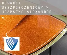 Doradca ubezpieczeniowy w  Hrabstwo Alexander