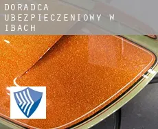 Doradca ubezpieczeniowy w  Ibach