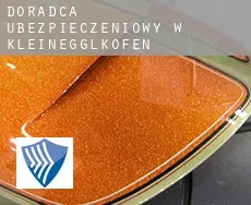 Doradca ubezpieczeniowy w  Kleinegglkofen