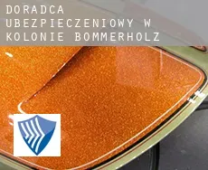 Doradca ubezpieczeniowy w  Kolonie Bommerholz