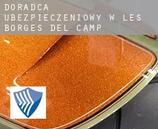 Doradca ubezpieczeniowy w  les Borges del Camp