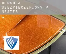 Doradca ubezpieczeniowy w Nester
