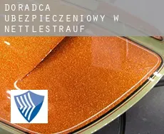 Doradca ubezpieczeniowy w  Nettlestrauf
