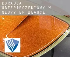 Doradca ubezpieczeniowy w  Neuvy-en-Beauce