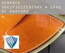 Doradca ubezpieczeniowy w  Oaks of Harford