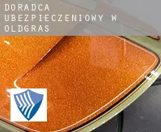 Doradca ubezpieczeniowy w  Oldgras