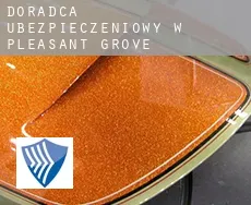 Doradca ubezpieczeniowy w  Pleasant Grove