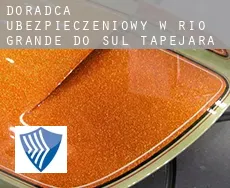 Doradca ubezpieczeniowy w  Tapejara (Rio Grande do Sul)