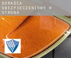 Doradca ubezpieczeniowy w  Strona