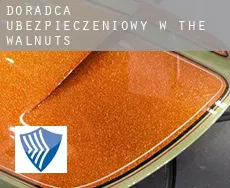 Doradca ubezpieczeniowy w The Walnuts