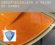 Ubezpieczalnia w  Point of Sands