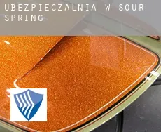 Ubezpieczalnia w  Sour Spring