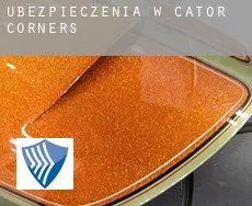 Ubezpieczenia w  Cator Corners