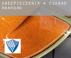 Ubezpieczenia w  Ciudad Anáhuac