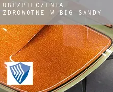 Ubezpieczenia zdrowotne w  Big Sandy