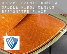 Ubezpieczenie domu w  Saddle Ridge