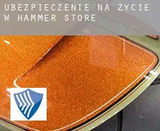 Ubezpieczenie na życie w  Hammer Store