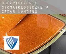 Ubezpieczenie stomatologiczne w  Cedar Landing