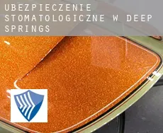 Ubezpieczenie stomatologiczne w  Deep Springs