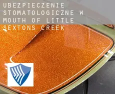 Ubezpieczenie stomatologiczne w  Mouth of Little Sextons Creek