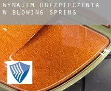 Wynajem ubezpieczenia w  Blowing Spring