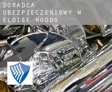 Doradca ubezpieczeniowy w  Eloise Woods
