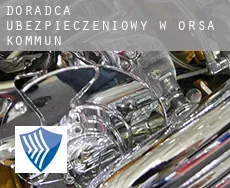 Doradca ubezpieczeniowy w  Orsa Kommun