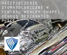 Ubezpieczenie stomatologiczne w  Central Wesley Chapel