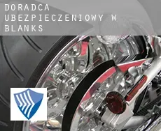 Doradca ubezpieczeniowy w  Blanks