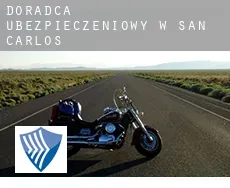 Doradca ubezpieczeniowy w  San Carlos
