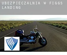 Ubezpieczalnia w  Figgs Landing