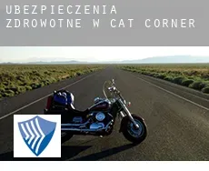 Ubezpieczenia zdrowotne w  Cat Corner