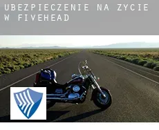 Ubezpieczenie na życie w  Fivehead