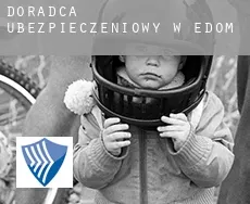 Doradca ubezpieczeniowy w  Edom