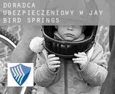 Doradca ubezpieczeniowy w  Jay Bird Springs