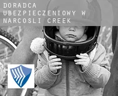 Doradca ubezpieczeniowy w  Narcosli Creek