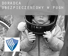 Doradca ubezpieczeniowy w  Pugh