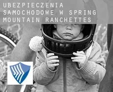 Ubezpieczenia samochodowe w  Spring Mountain Ranchettes