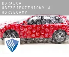 Doradca ubezpieczeniowy w  Horsecamp