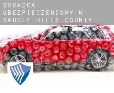 Doradca ubezpieczeniowy w  Saddle Hills County