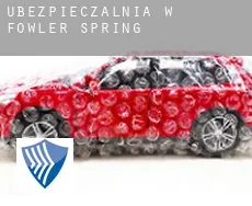 Ubezpieczalnia w  Fowler Spring