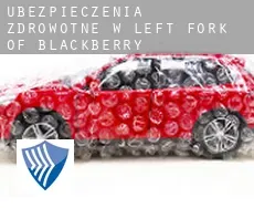 Ubezpieczenia zdrowotne w  Left Fork of Blackberry
