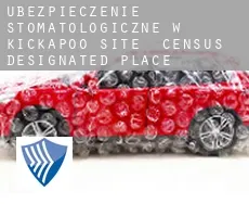 Ubezpieczenie stomatologiczne w  Kickapoo Site 2