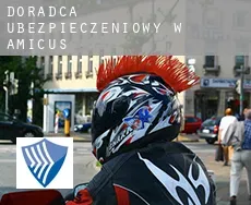 Doradca ubezpieczeniowy w  Amicus