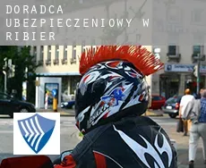 Doradca ubezpieczeniowy w  Ribier