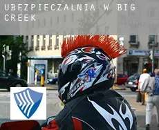 Ubezpieczalnia w  Big Creek