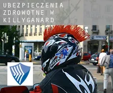 Ubezpieczenia zdrowotne w Killyganard