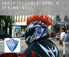 Ubezpieczenie domu w  Spring Hill